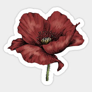 Red poppy Sticker